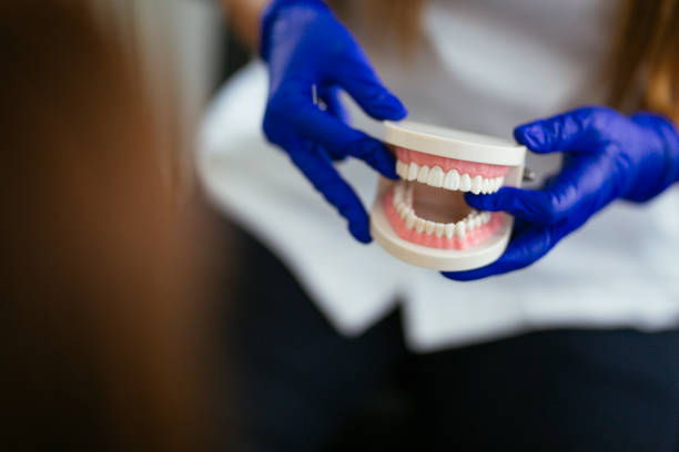 Best Dental Fillings (Composite and Amalgam)  in Louisville, OH